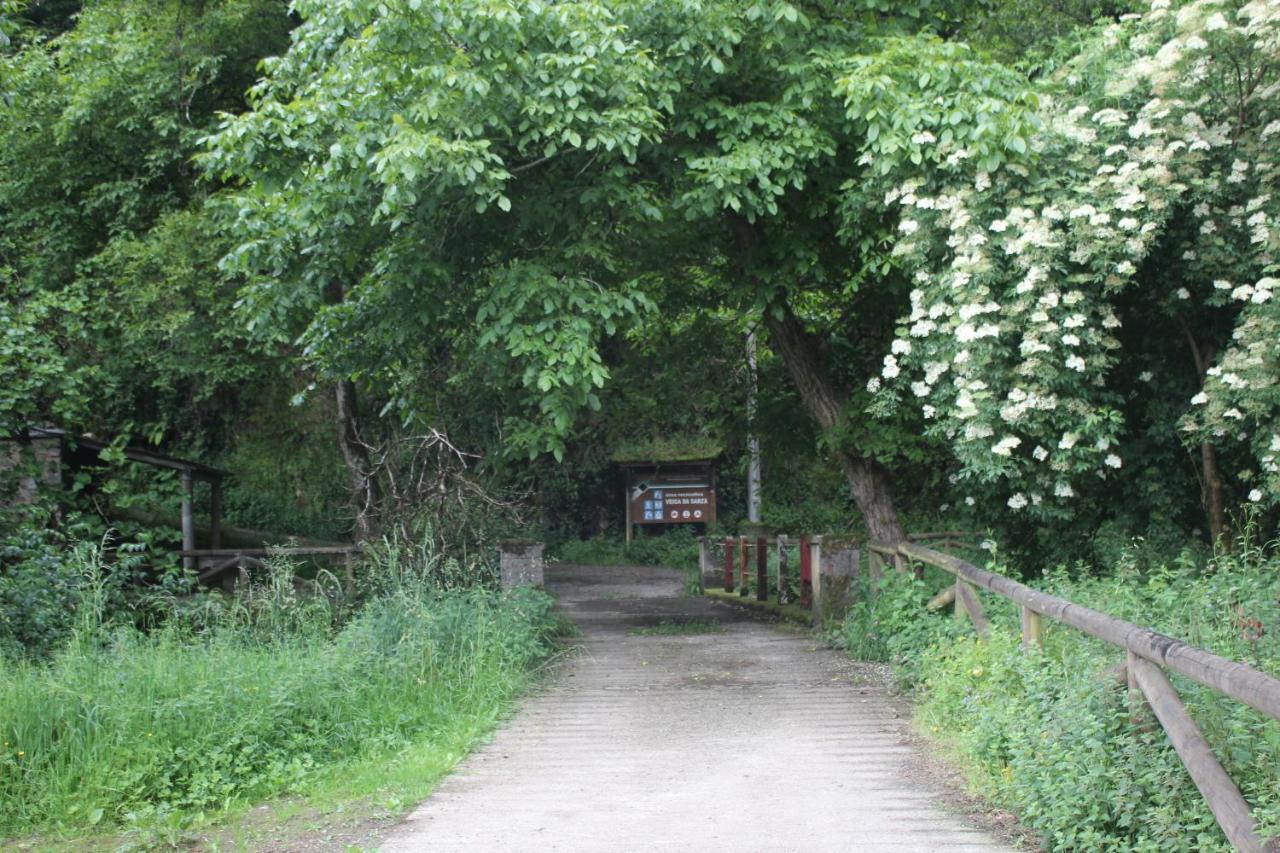 Casas Rurales Tareira En 탈아문디 외부 사진